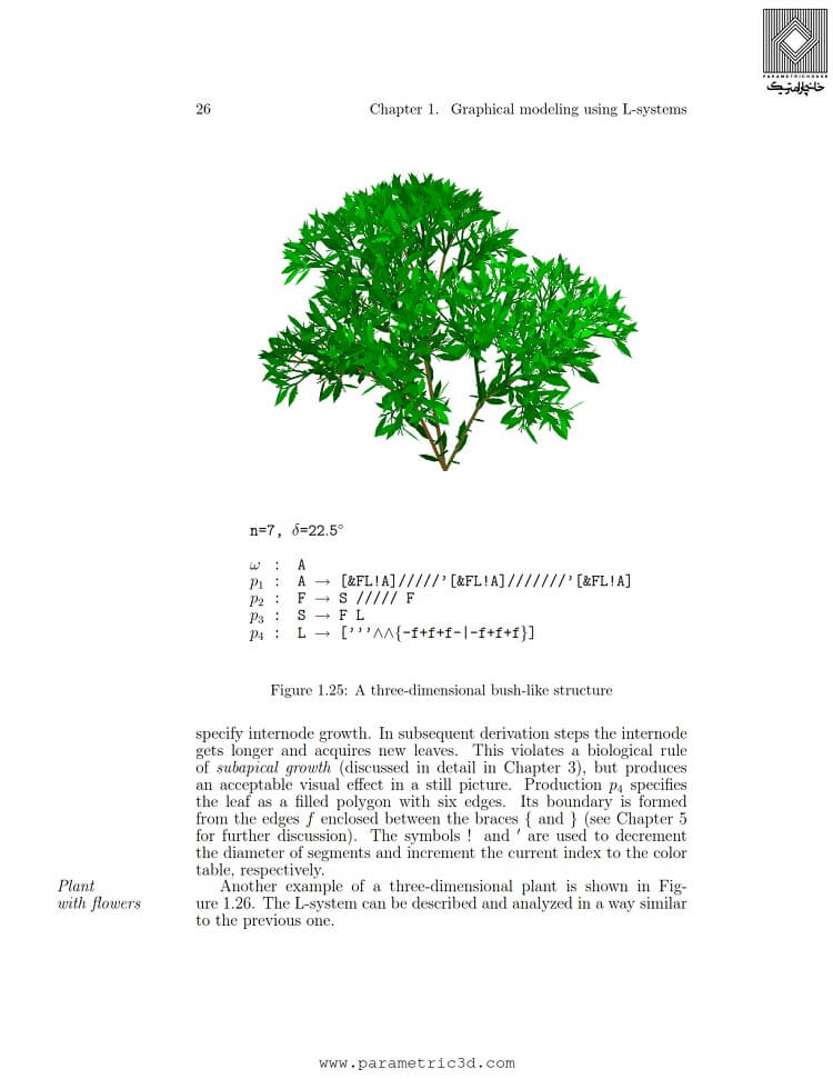 کتاب زیبایی الگوریتمی گیاهان