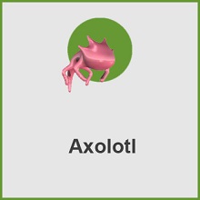 پلاگین Axolotl