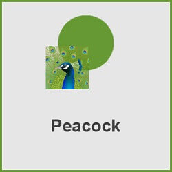 پلاگین Peacock