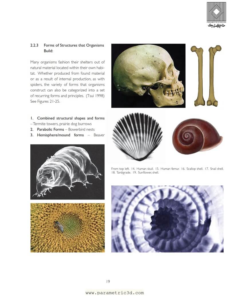 کتاب Biomimicry in Digital & Parametric Design