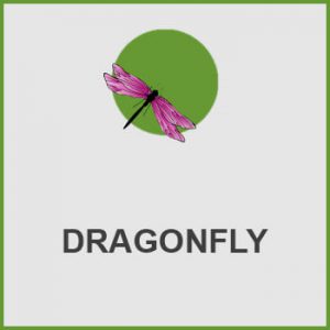 پلاگین DRAGONFLY